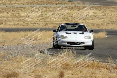 media/Aug-10-2024-Extreme Speed Twilight (Sat) [[1e9a7ad392]]/Green/Session 1-Turn 13/